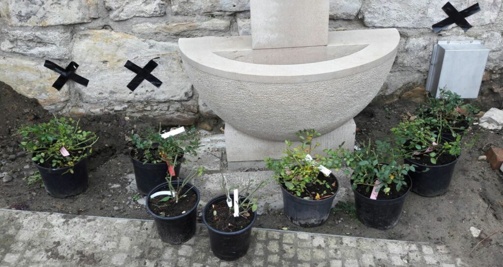 Bild 2 aus 4 aus der Umgestaltung des Magdalenengarten. Entstanden im Zuge des Projekts "Garten der Länder".