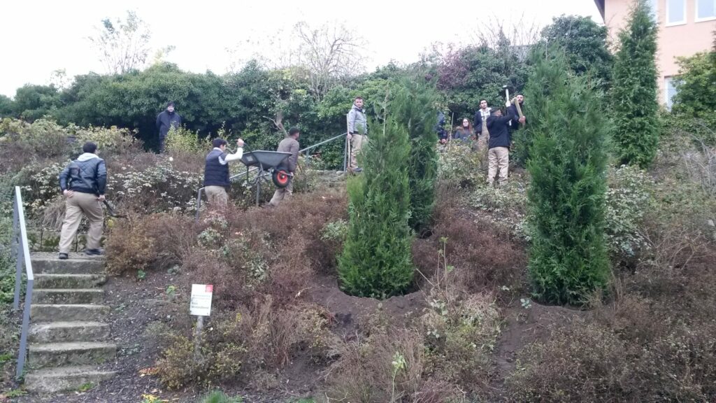 Bild 3 aus 4 aus der Umgestaltung des Magdalenengarten. Entstanden im Zuge des Projekts "Garten der Länder".