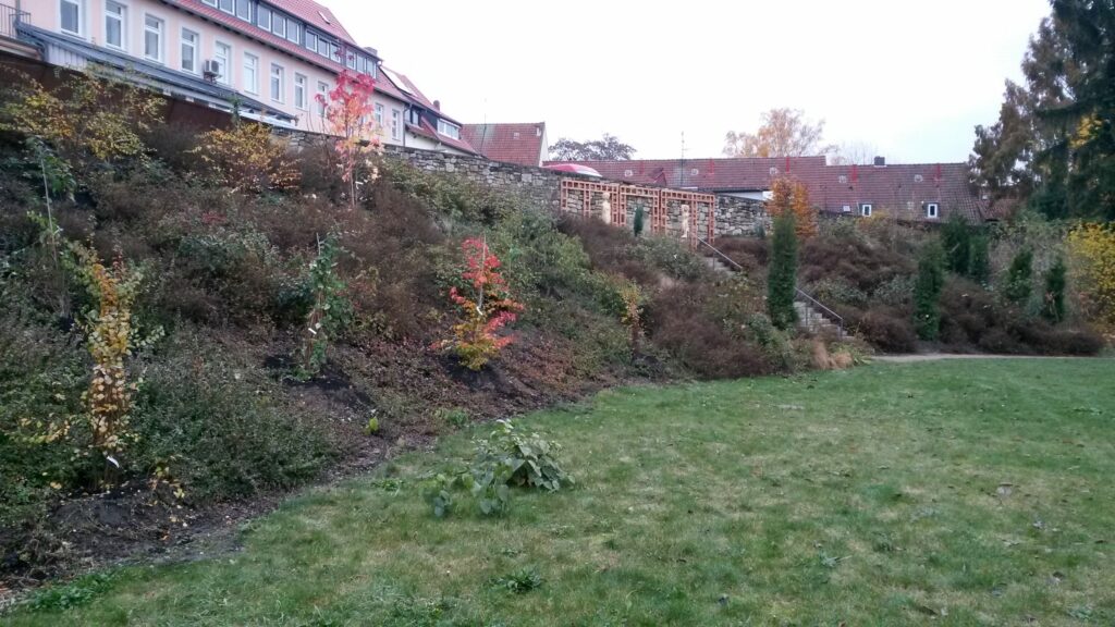 Bild 4 aus 4 aus der Umgestaltung des Magdalenengarten. Entstanden im Zuge des Projekts "Garten der Länder".